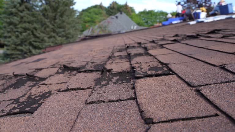Best Asphalt Shingles Roofing  in Waipio, HI