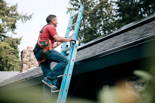 Best Green or Eco-Friendly Roofing Solutions  in Waipio, HI